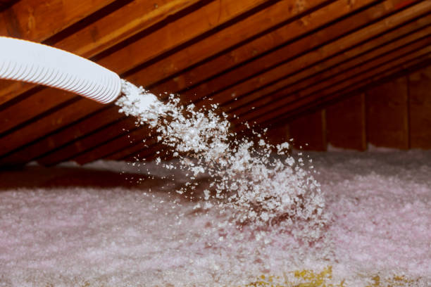 Best Residential Insulation in Morris, AL