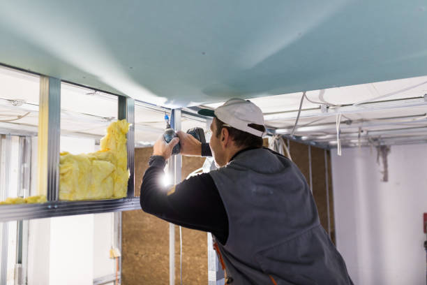 Best Geographic-Specific Insulation Services in Morris, AL